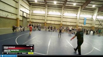 95 lbs Round 5 - Mercer Hamilton, Washington vs Noah Schulz, Alaska