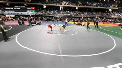 5A 126 lbs Quarterfinal - Dominik Artman, Argyle vs Max Brandt, Cedar Park