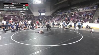 49.5-50.5 lbs Champ. Round 2 - Brooks Perry, Palmer Divide Wrestling Inc. vs Dominic Springer, Widefield Wrestling Club