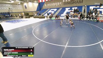 45-49 lbs Round 5 - Rome Sands, Team Prestige vs Stetson Hansen, Westlake