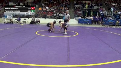 157 lbs Champ. Round 2 - Andrew Parrish, Cornell College vs Aaron Aragon, Schreiner