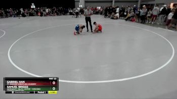 88 lbs Champ. Round 1 - Gabriel Han, P3 Warrior Wrestling Academy vs Samuel Briggs, Community Youth Center - Concord Campus Wrestling