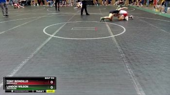 84 lbs Quarterfinal - Tony Biondillo, Brecksville vs Landon Wilson, Westshore