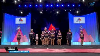 Fierce Idaho - Stealth [2025 L5 Senior Coed - Small Finals] 2025 The Summit