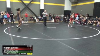 135 lbs Round 1 (4 Team) - Damiyah Williams, Female Elite Wrestling vs Andrea Quinones, Minnesota Storm