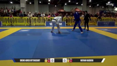 Breno Abreu Bittencourt vs Nathan Hagberg 2025 American National IBJJF Jiu-Jitsu Open Championship