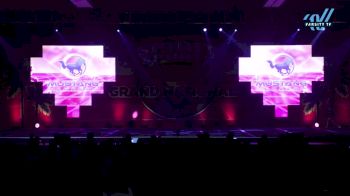 Mustang Cheer All Stars - Rein [2024 L2 Junior - D2 - Medium Day 1] 2024 Spirit Sports Grand Nationals