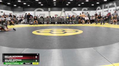 90 lbs Round 5 (6 Team) - Walker Hoffman, Steller Trained vs Declan Witkowski, Missouri Gold