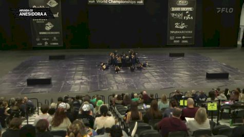 Anesidora A "Arvada CO" at 2025 WGI Guard World Championships