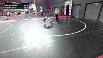 51 lbs Semifinal - Clement Greco, Wisconsin Dells vs Brecken Phares, Team Nazar Training Center