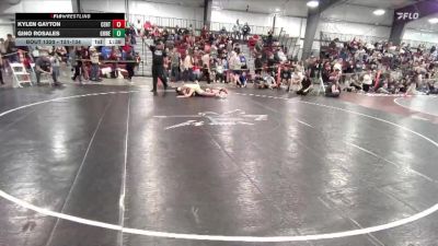 131-134 lbs Round 2 - Gino Rosales, Greeley West vs Kylen Gayton, Central