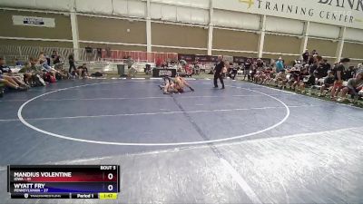 138 lbs Semis & 1st Wrestleback (8 Team) - Mandius Volentine, Iowa vs Wyatt Fry, Pennsylvania