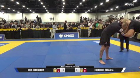 Eduardo D. Sebastia vs Michael P Carrafiello 2025 World IBJJF Jiu-Jitsu No-Gi Championship