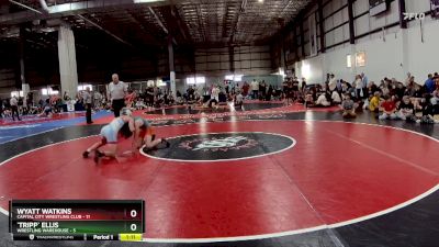 126 lbs Semis & 1st Wb (8 Team) - `Tripp` Ellis, WRESTLING WAREHOUSE vs Wyatt Watkins, CAPITAL CITY WRESTLING CLUB