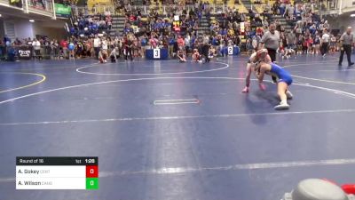 117 lbs Round Of 16 - Adalyn Gokey, Central Cambria vs Abigail Wilson, Canon-McMillan