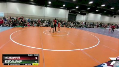 75-77 lbs Round 2 - Brantley Arluck, Dragon Youth Wrestling vs Max Hernandez, Wildcat Wrestling Club