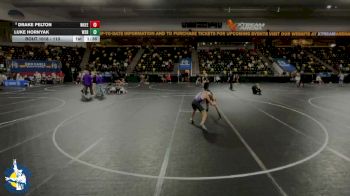 113 lbs 17th Place Match - Drake Pelton, Waukee vs Luke Hornyak, Waverly-Shell Rock