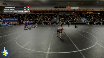 113 lbs 17th Place Match - Drake Pelton, Waukee vs Luke Hornyak, Waverly-Shell Rock