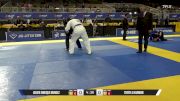 TERRY A HARMON vs JAVIER ENRIQUE MENDEZ 2026 Pan Jiu Jitsu IBJJF Championship