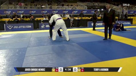 TERRY A HARMON vs JAVIER ENRIQUE MENDEZ 2026 Pan Jiu Jitsu IBJJF Championship