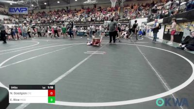 84 lbs Quarterfinal - Noah Goodgion, Chandler Takedown Club vs Emy Rice, Prodigy Wrestling