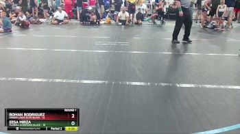 60 lbs Round 2 (10 Team) - Eesa Mirza, Florida Scorpions Black vs Roman Rodriguez, Finger Lakes Elite Black