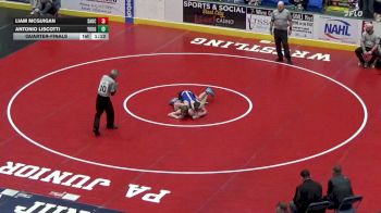 132 lbs Quarterfinal - Liam McGuigan, Saucon Valley vs Antonio Liscotti, Yough