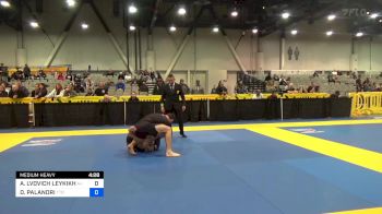 ALEXANDER LVOVICH LEYKIKH vs DOMENICO PALANDRI 2023 World IBJJF Jiu-Jitsu No-Gi Championship