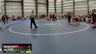 117 lbs Final - Devlynn Albrecht, Badger Girls Elite vs Lilli Cooper, Midwest Assasins Blue