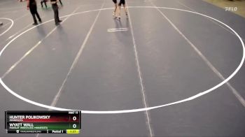 138 lbs Semifinal - Wyatt Wall, Pursuit Wrestling Minnesota vs Hunter Polikowsky, Minnesota