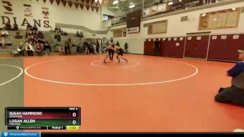 120 lbs Quarterfinal - Logan Allen, Freeman vs Isaiah Hammond, Deer Park