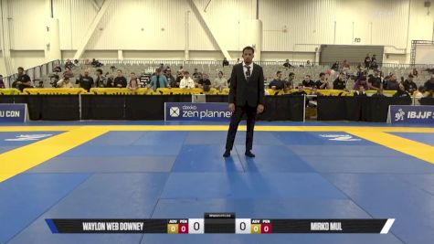 Mirko Mul vs Waylon Web Downey 2025 World IBJJF Jiu-Jitsu No-Gi Championship