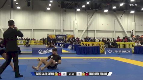 Gabriel Castro Vieira Lima vs David Salem Garmo 2024 World IBJJF Jiu-Jitsu No-Gi Championship