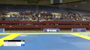 Stanley Andrew Sartain vs Carlos F Almonte Ibarra 2024 Pan IBJJF Jiu-Jitsu No-Gi Championship