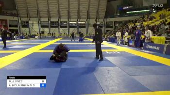 MARK J. VIVES vs ANDRÉ MC LAUGHLIN GLODZINSKI 2023 Master International IBJJF Jiu-Jitsu North American Championship