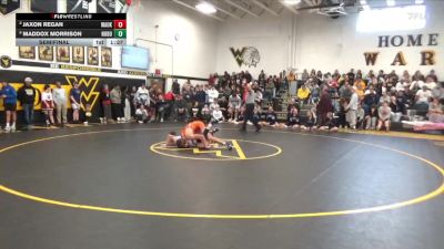 138 lbs Semifinal - Maddox Morrison, North Butler-Clarksville vs Jaxon Regan, Waukon