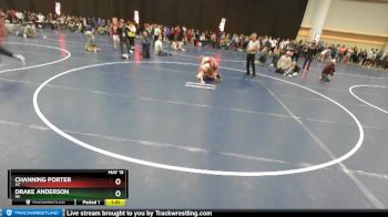 138 lbs Champ. Round 2 - Drake Anderson, NE vs Channing Porter, AZ