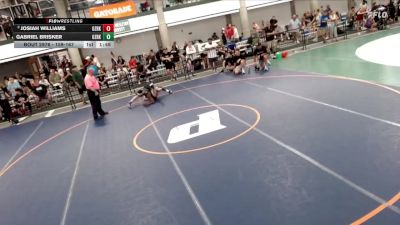 159-167 lbs Quarterfinal - Josiah Williams, Danville vs Gabriel Brisker, PACK732