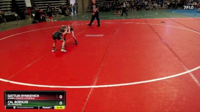 45 lbs Semifinal - Gattlin Rynkievich, Dassel-Cokato-Litchfield vs Cal Boehlke, No-Nonsense