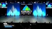 Dance Dynamics - Mini Elite Small Pom [2025 Mini - Pom - Small Finals] 2025 The Dance Summit