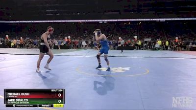 D2-215 lbs Cons. Semi - Michael Bush, Linden HS vs Jake DiFalco, Ortonville Brandon