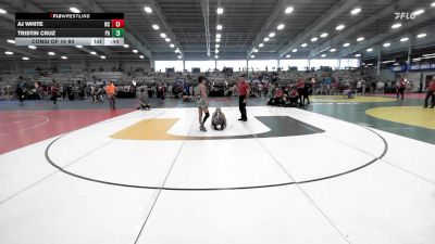 113 lbs Consi Of 16 #2 - Aj White, NC vs Tristin Cruz, PA