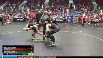 119 lbs Quarterfinals (8 Team) - Tayden Plave, South Lyon Matcats vs Calvin Martz, Davison