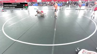 144 lbs Round 3 (8 Team) - Carter Birdyshaw, Weyauwega-Fremont vs Gabrien Callies, Rochester Century A