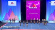 South Force Cheer - Electric [2026 L6 Junior - D2 - Small Semis] 2026 The D2 Summit