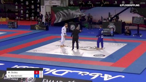 Matheus Godoy Romero vs Adam Wardzinski 2019 Abu Dhabi Grand Slam Abu Dhabi