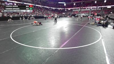 120 lbs Cons. Semis - Andrew DiPiazza, Kaukauna vs Cooper Herzig, Muskego