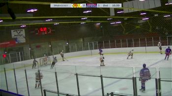 Replay: Home - 2025 Ottawa West vs Ottawa | Mar 8 @ 7 PM