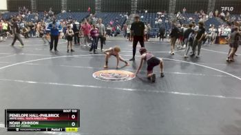 105 lbs 3rd Place Match - Noah Johnson, Cane Bay Cobras vs Penelope Hall-Philbrick, White Knoll Youth Wrestling