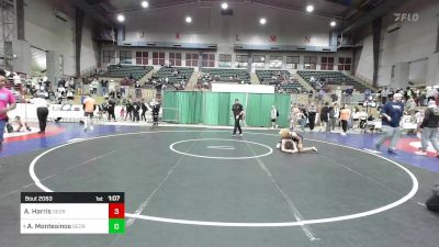 130 lbs Quarterfinal - Adrian Harris, Georgia vs Avett Montesinos, Georgia